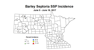 barley SSPI 6 5 6 16