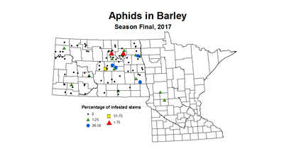 aphid Season Final Barley 2017