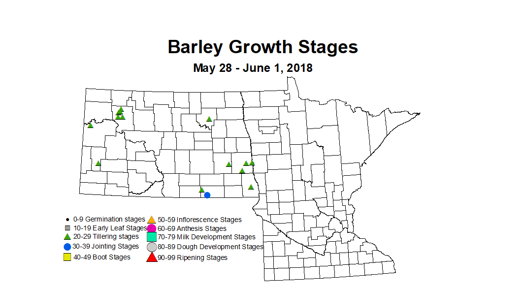 barley2018 zgs 5.28 6.1