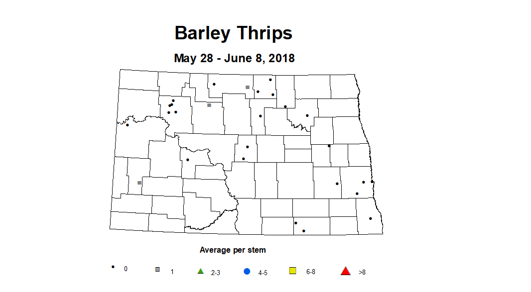 barley thripsstm 5.28 6.8