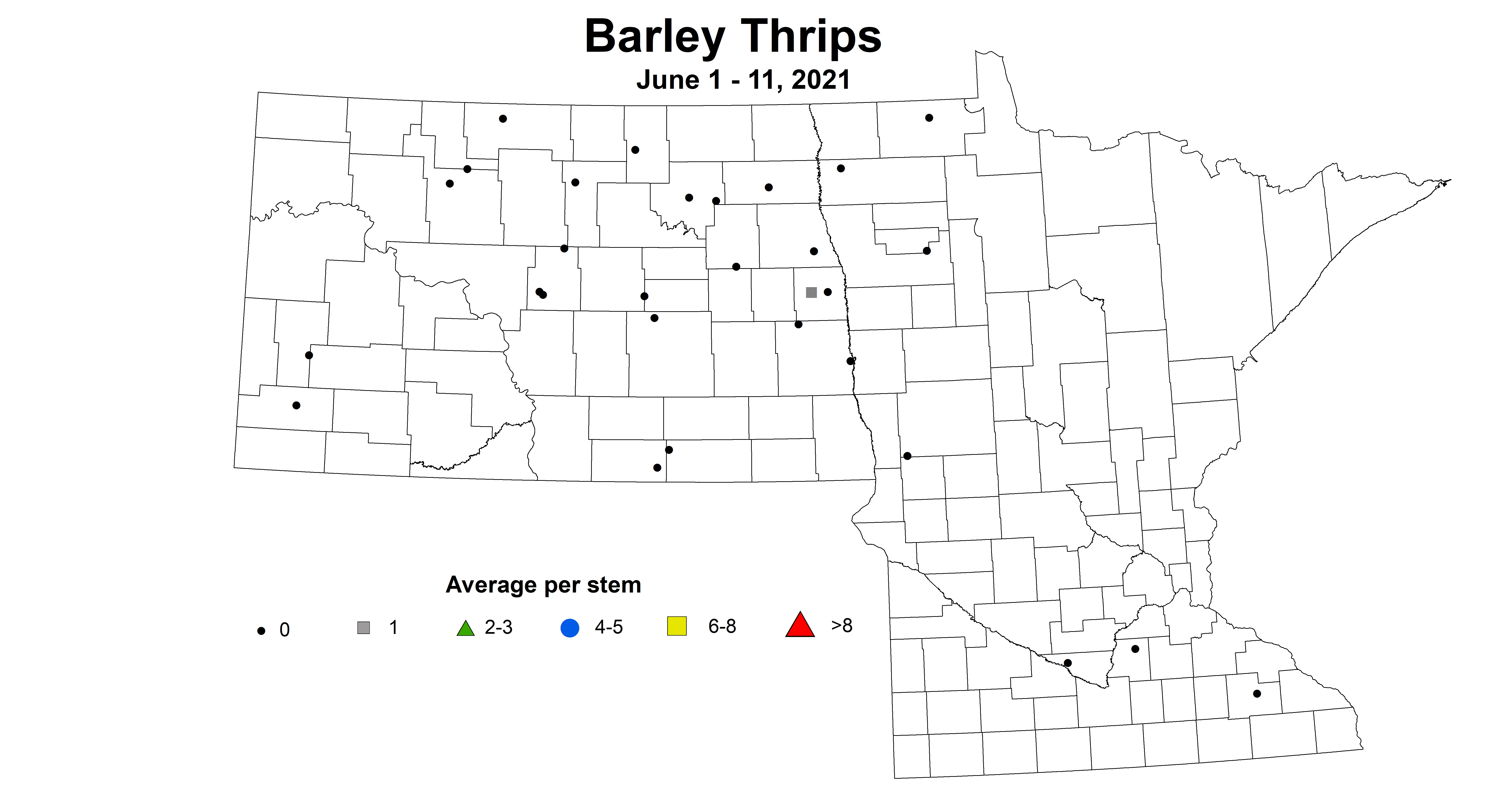 BarleyThrips6.1 6.11