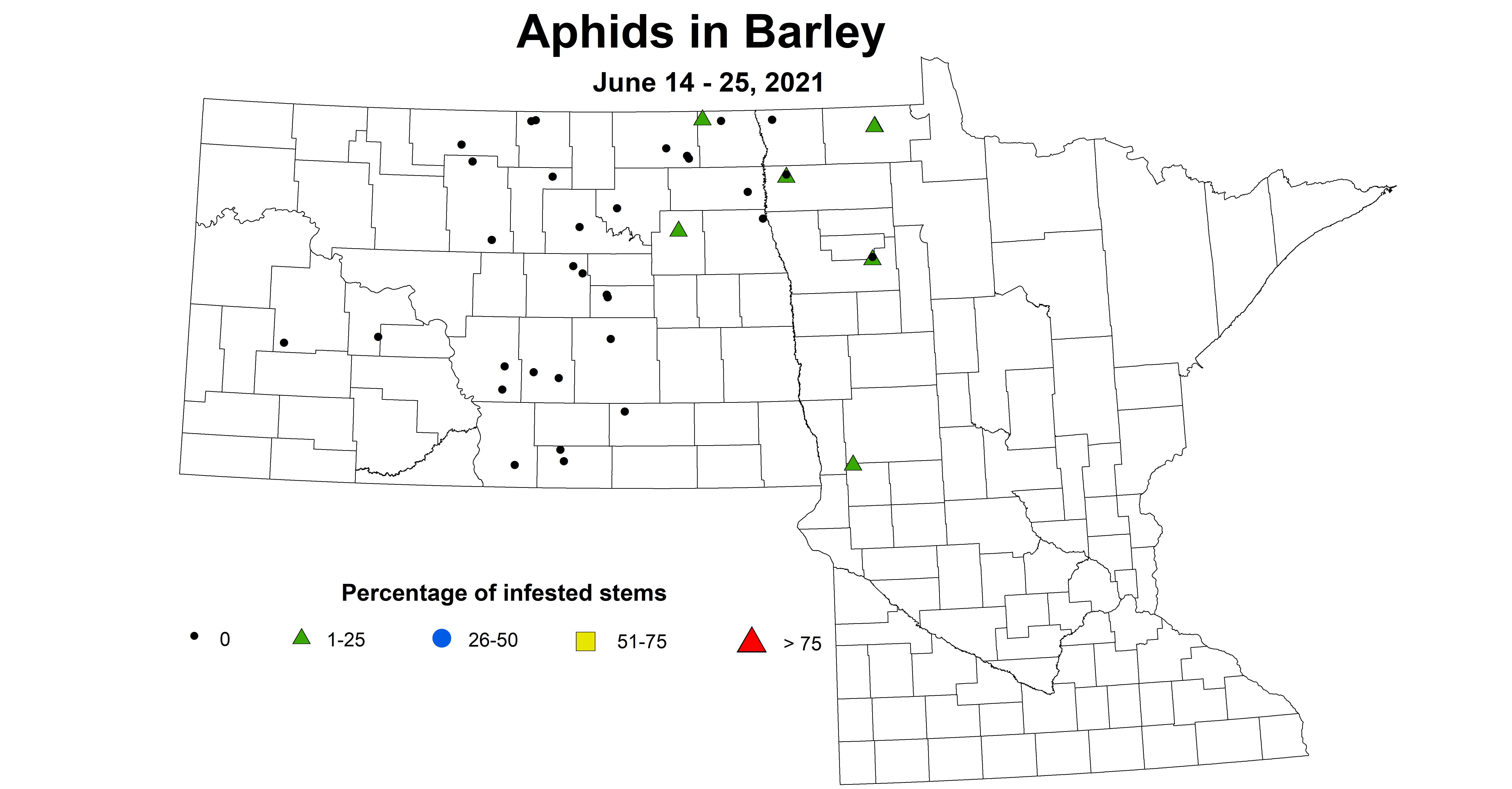 barleyAphid 6.14 6.25