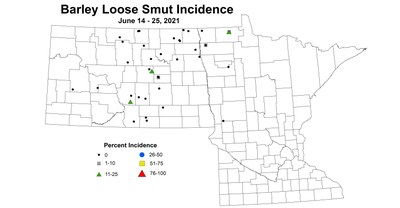 barleyLooseSmutIncidence 6.14 6.25