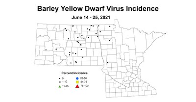 barleyyellowDwarfVirusIncidence 6.14 6.25