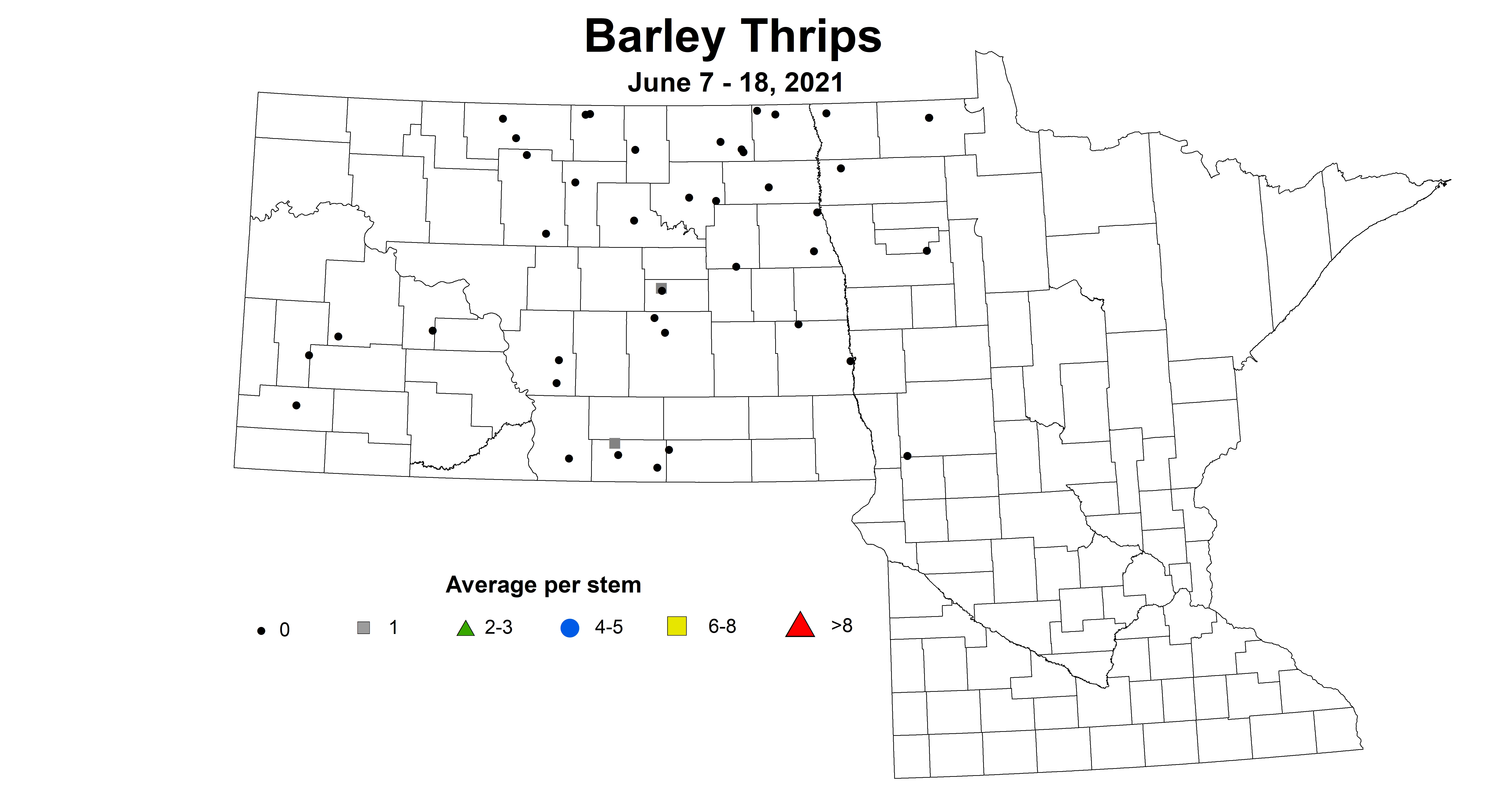barleyThrips 6.7 6.18