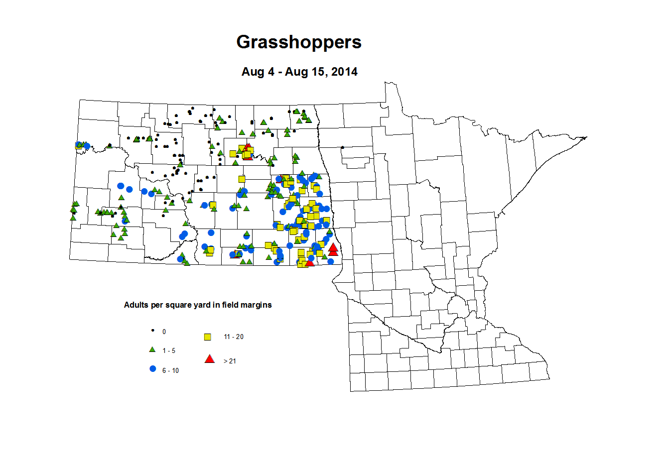 8 4 8 15 Grasshopper Adults