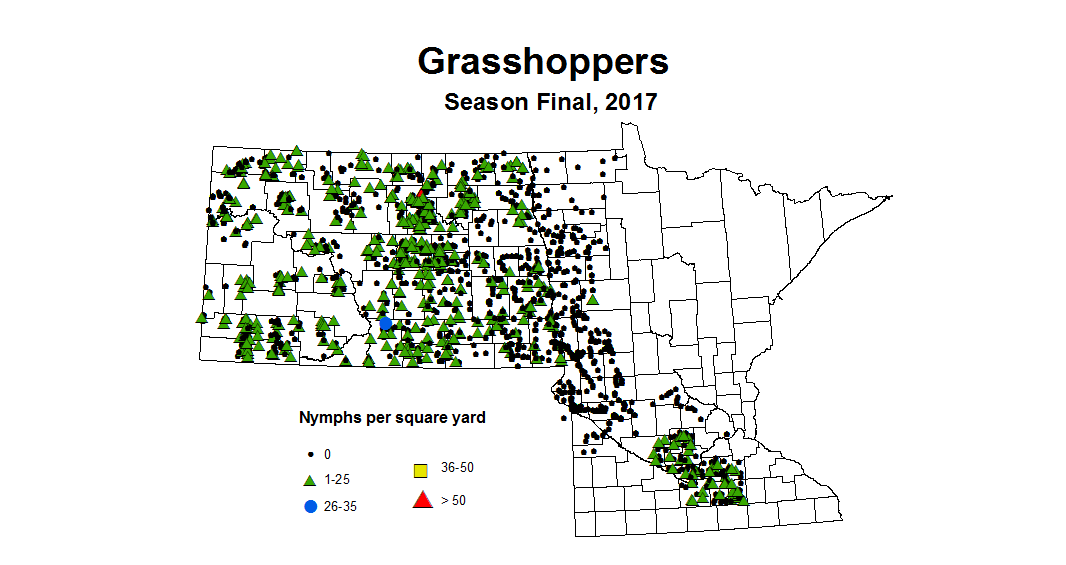 grasshoper nymph season 2017
