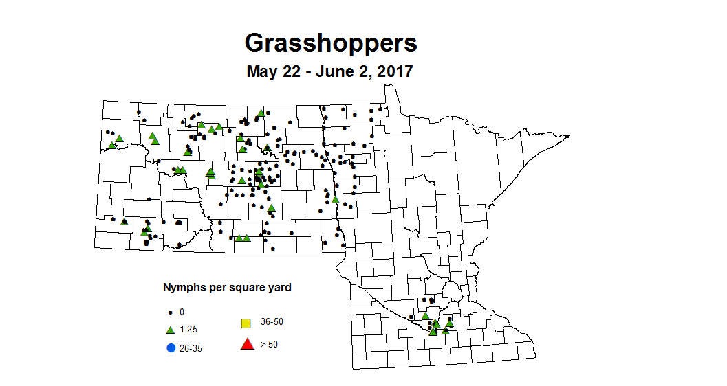 May 22 - June2 grasshopper nymph swps
