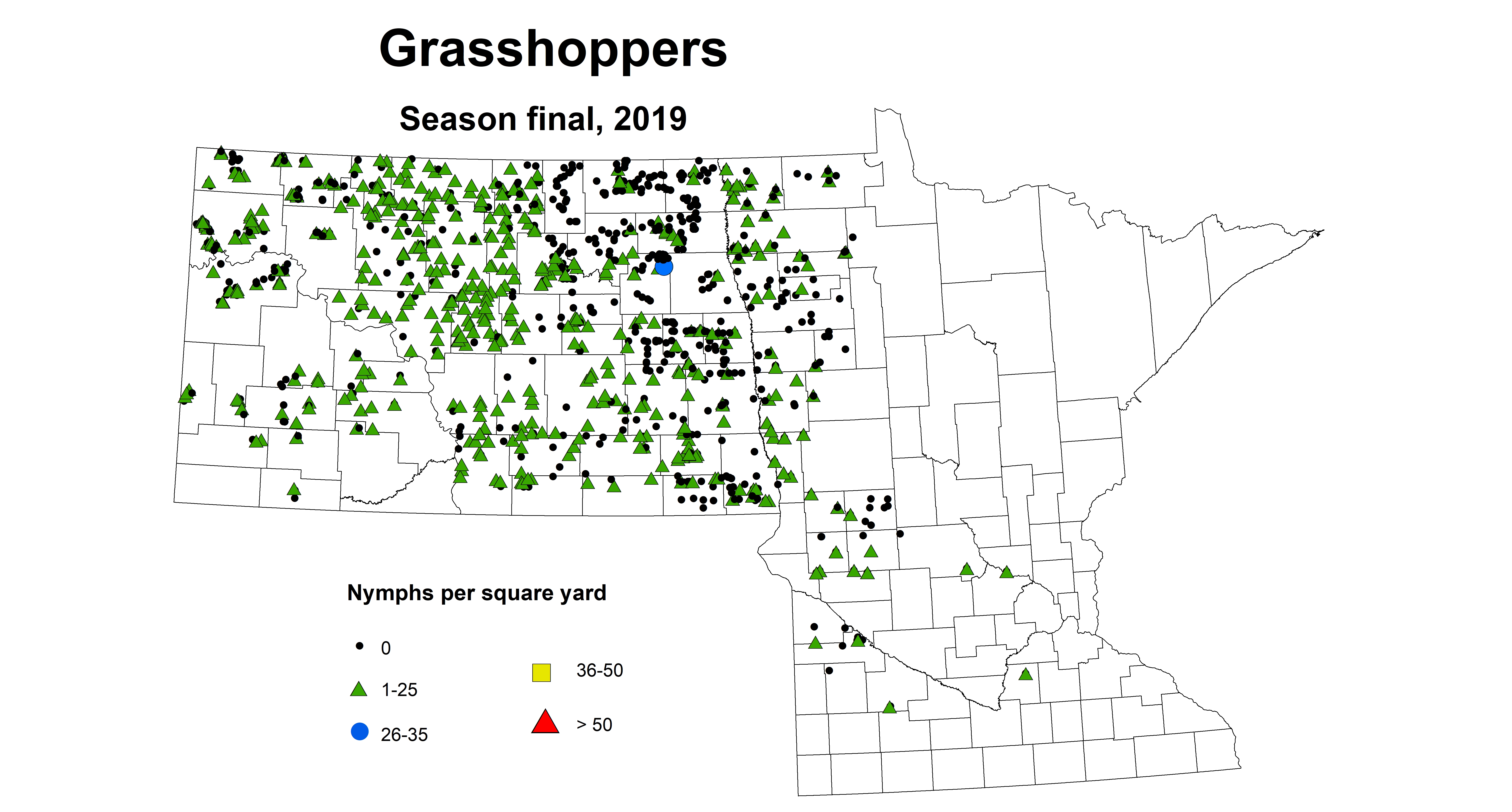 nymph grasshopper season2019