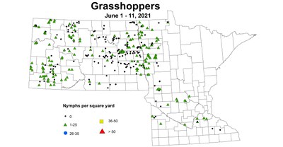 grasshopperNymph 6.1 6.11