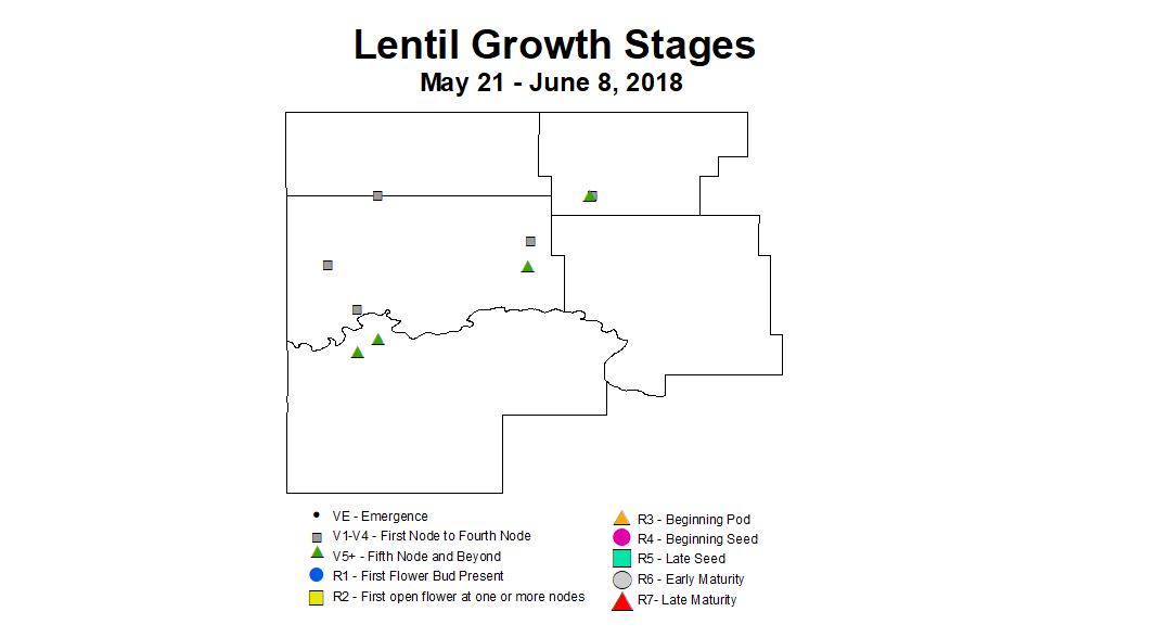 lentil zgs 5.21 6.8