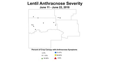 anthSV