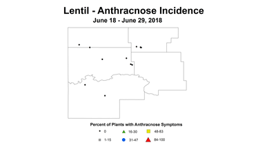 anthInc