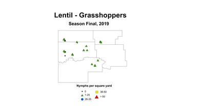 season Nymphs