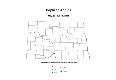 5 26 6 6 Soybean Aphids Percent Incidence