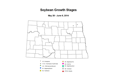 5 26 6 6 Soybean GrowthStages ZGS