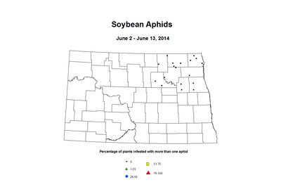 6 2 6 13 Soybean Aphids Percent Incidence