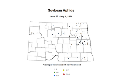 6 23 7 4 Soybean Aphids Percent Incidence