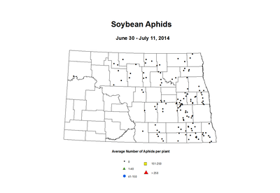 6 30 7 11 Soybean Aphids Average Per Plant