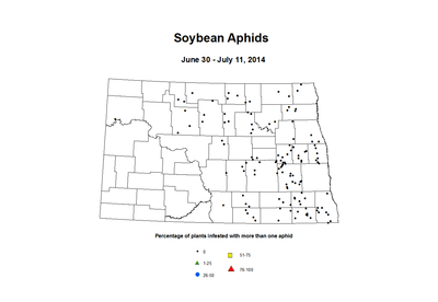 6 30 7 11 Soybean Aphids Percent Incidence