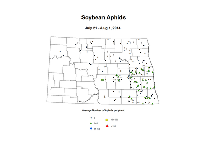 7 21 8 1 Soybean Aphids Average Per Plant