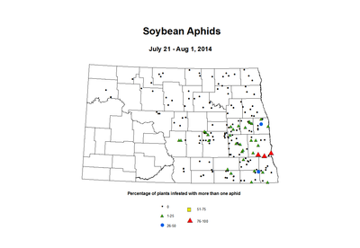 7 21 8 1 Soybean Aphids Percent Incidence