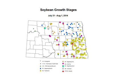 7 21 8 1 Soybean GrowthStages ZGS