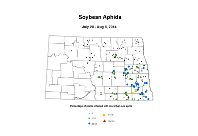 7 28 8 8 Soybean Aphids Percent Incidence