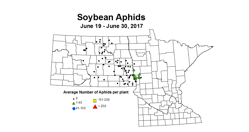 soybean AVGaphids 2017 6 19 6 30