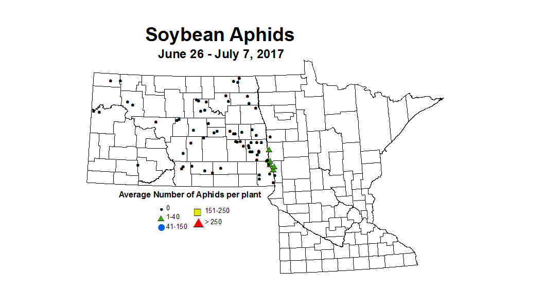 Soybean avgAphit 6 26 7 7 2017