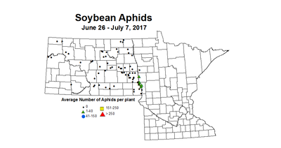Soybean avgAphit 6 26 7 7 2017