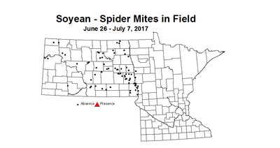 Soybean miteInFiled 6 26 7 7 2017