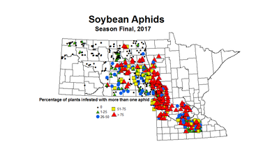 soybean Aphid season 2017