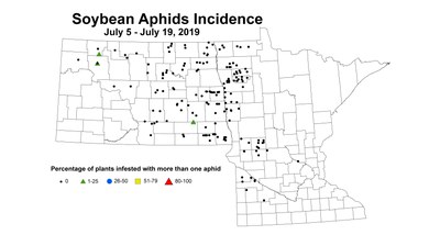 soybean aphidIncidence