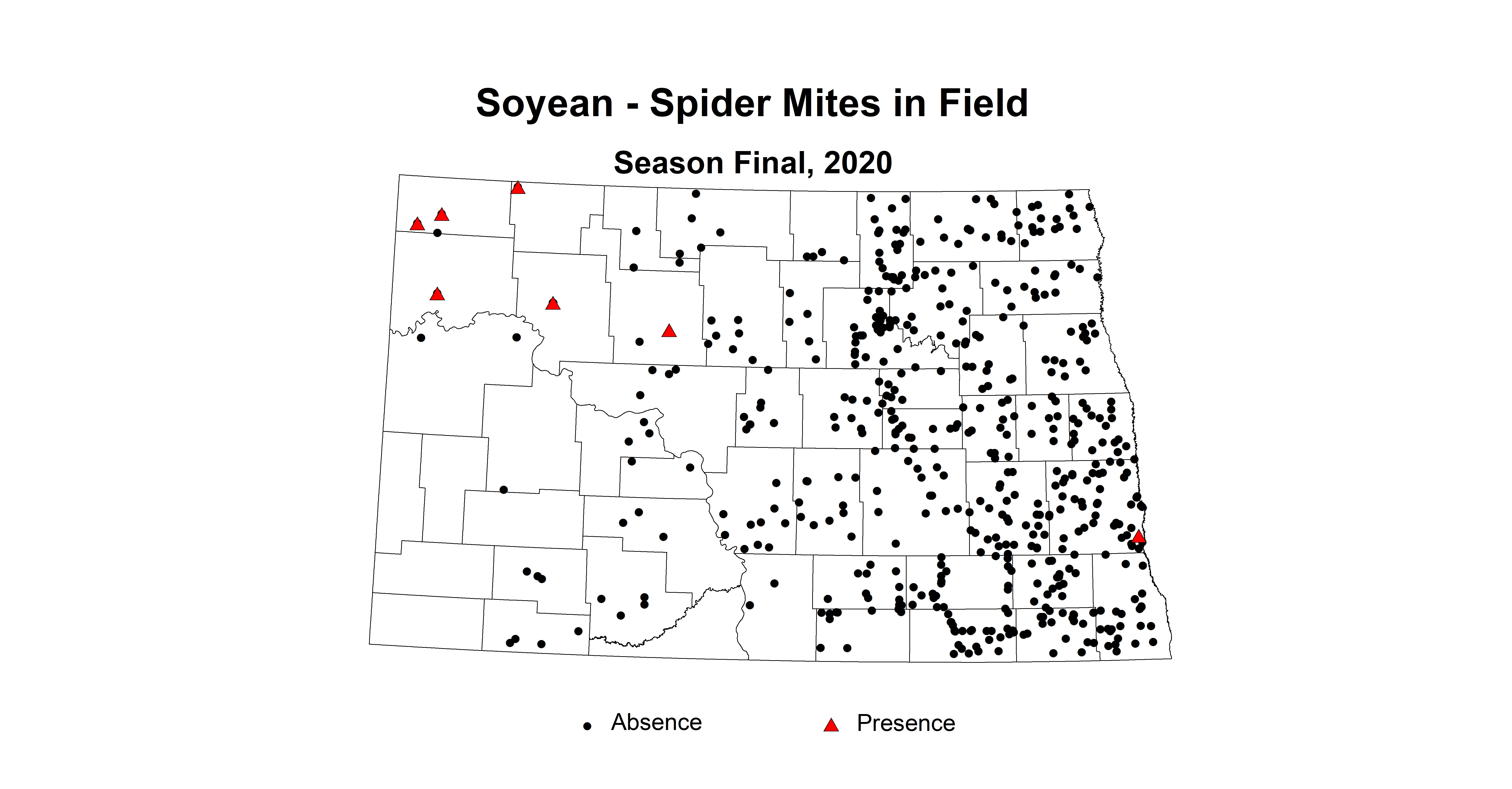 mites in field