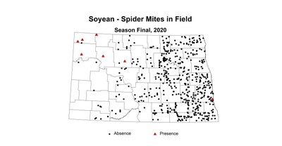 mites in field