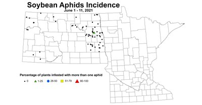 soybeanAphidIncidence6.1 6.11