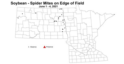 soybeanSpiderMitesOnEdge6.1 6.4