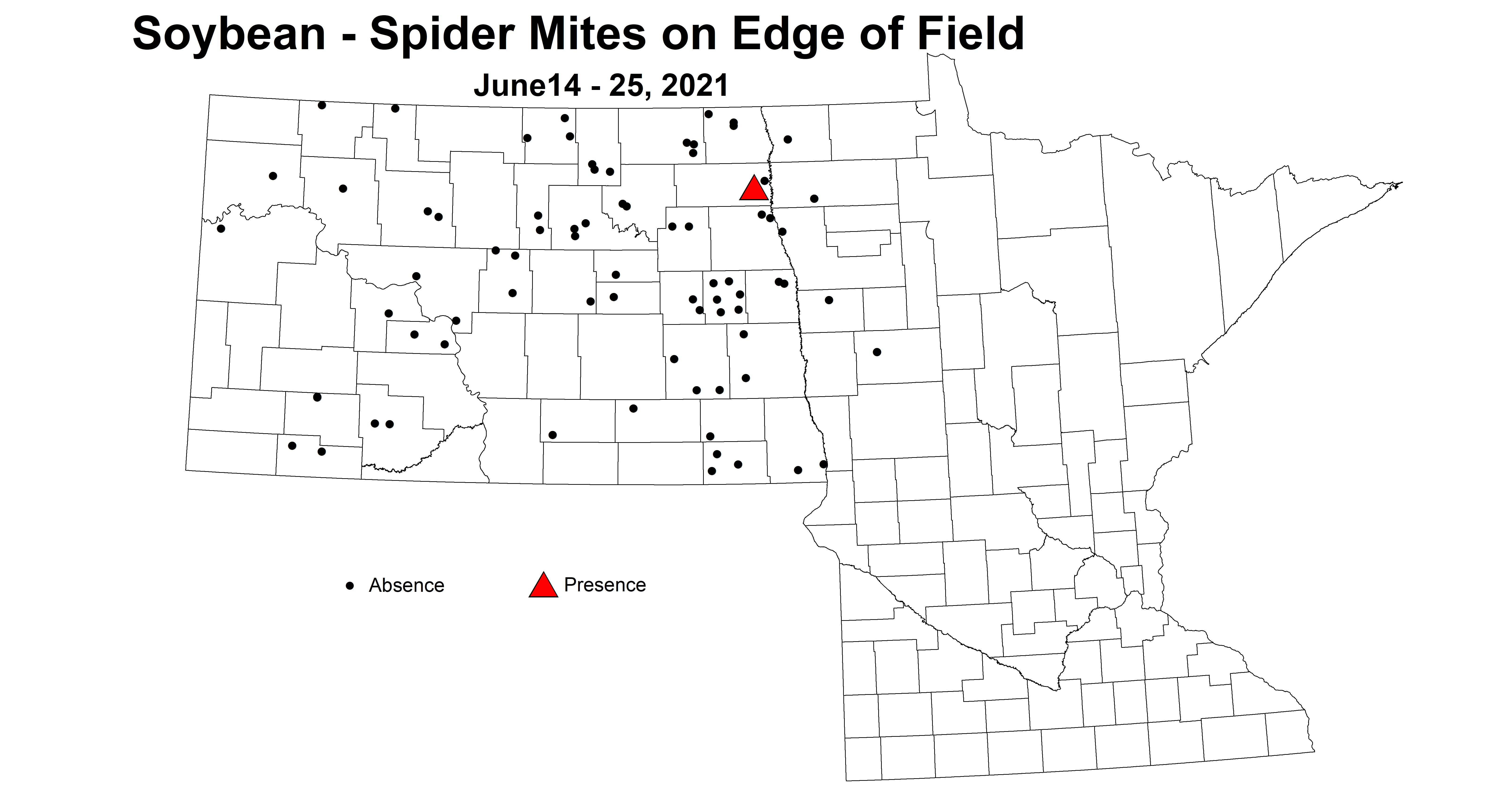 soybeanSpiderMitesOnEdge 6.14 6.25