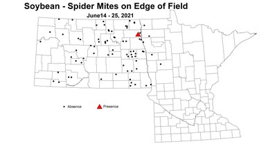 soybeanSpiderMitesOnEdge 6.14 6.25