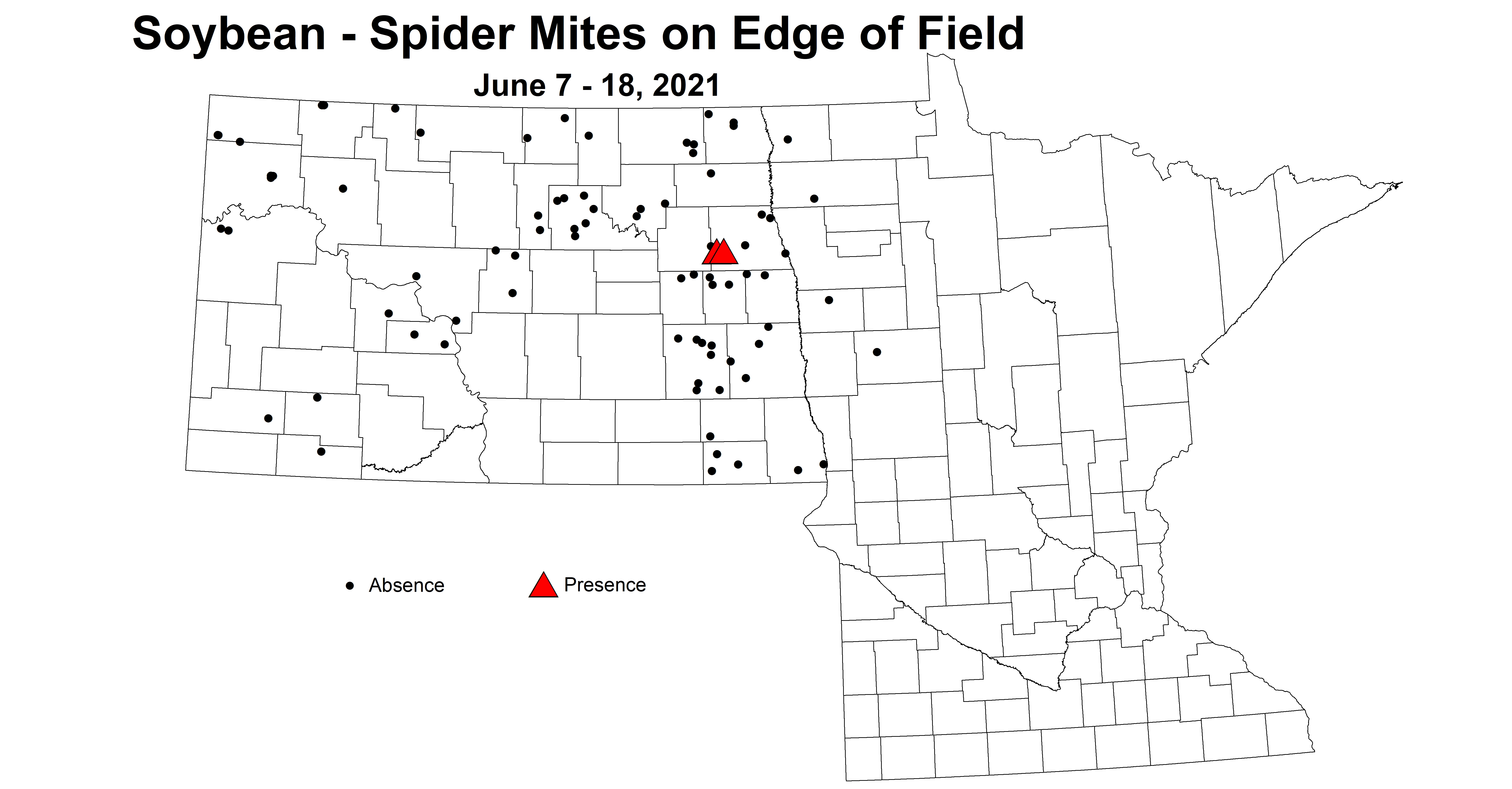 soybeanSpiderMitesOnEdge 6.7 6.18