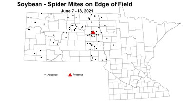 soybeanSpiderMitesOnEdge 6.7 6.18