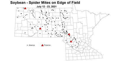 mitesEdge