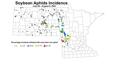aphidIncidence