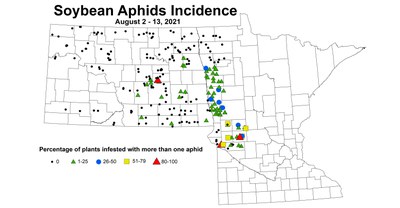 aphidIncidence