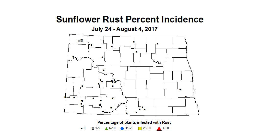 sunflower rustIncidence 7 24 8 4 2017