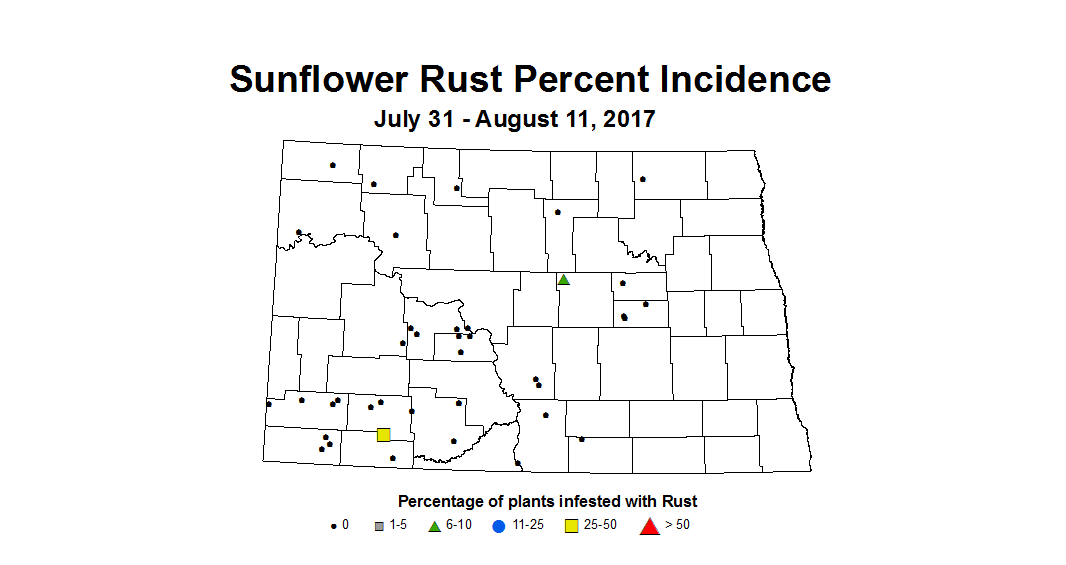 sunflower rustIncidence 7 31 8 11 2017