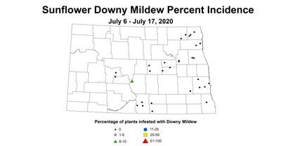mildew
