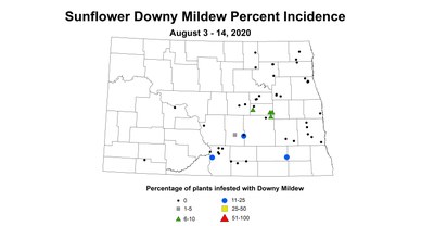 mildew