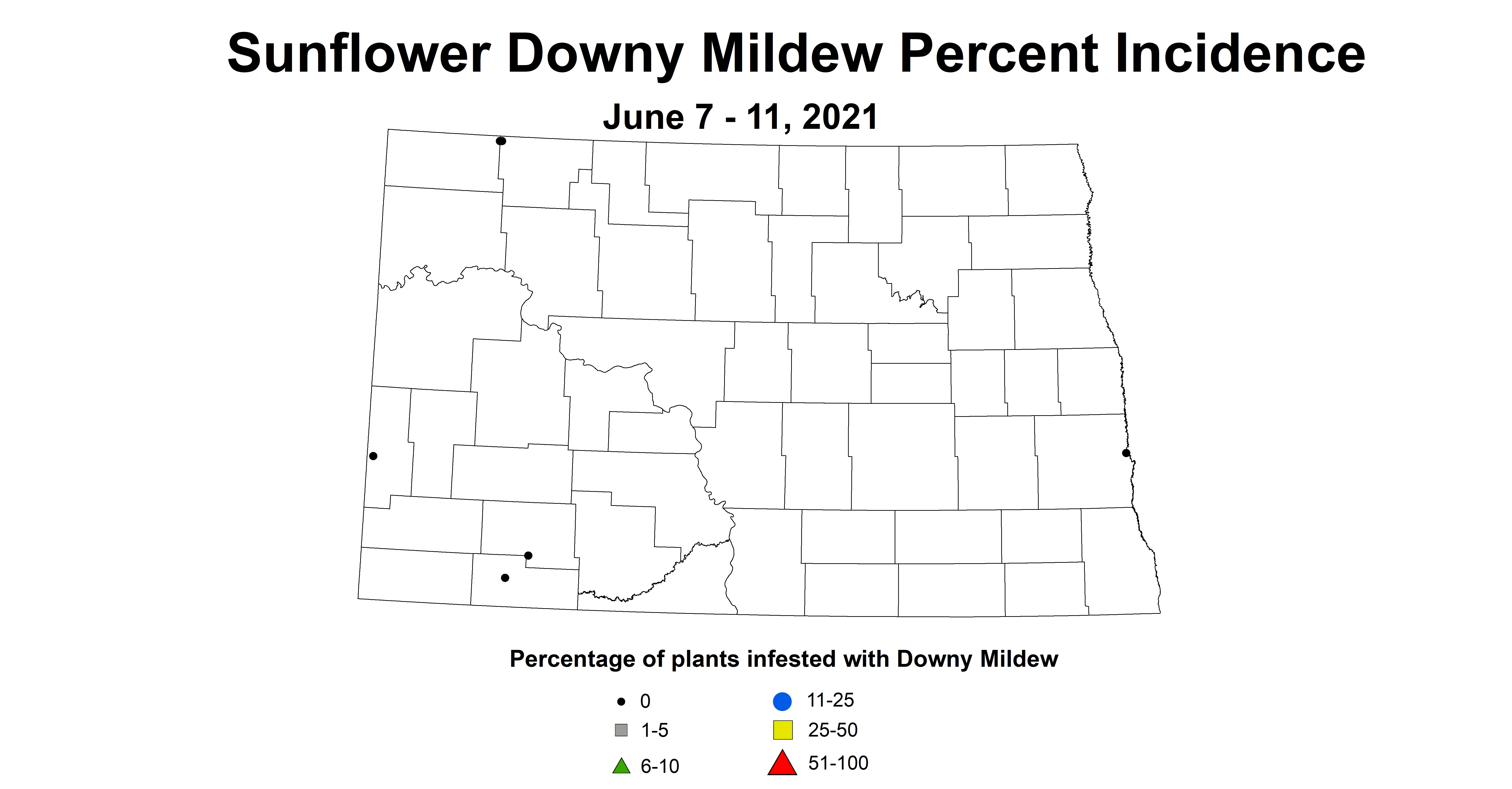 sunflowerMildew6.7 6.11
